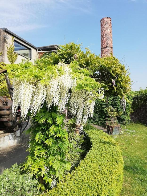 B&B De Vlaschaerd Heule Exterior foto